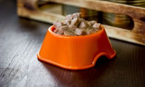 can of wet dog food in an orange dog bowl