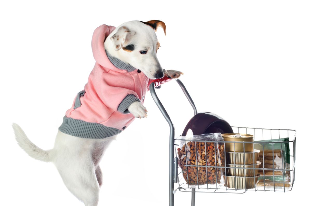dog pushing a shopping cart-how to read dog food labels