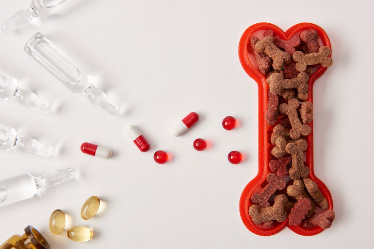 dog supplements beside dog food bowl shaped like a bone