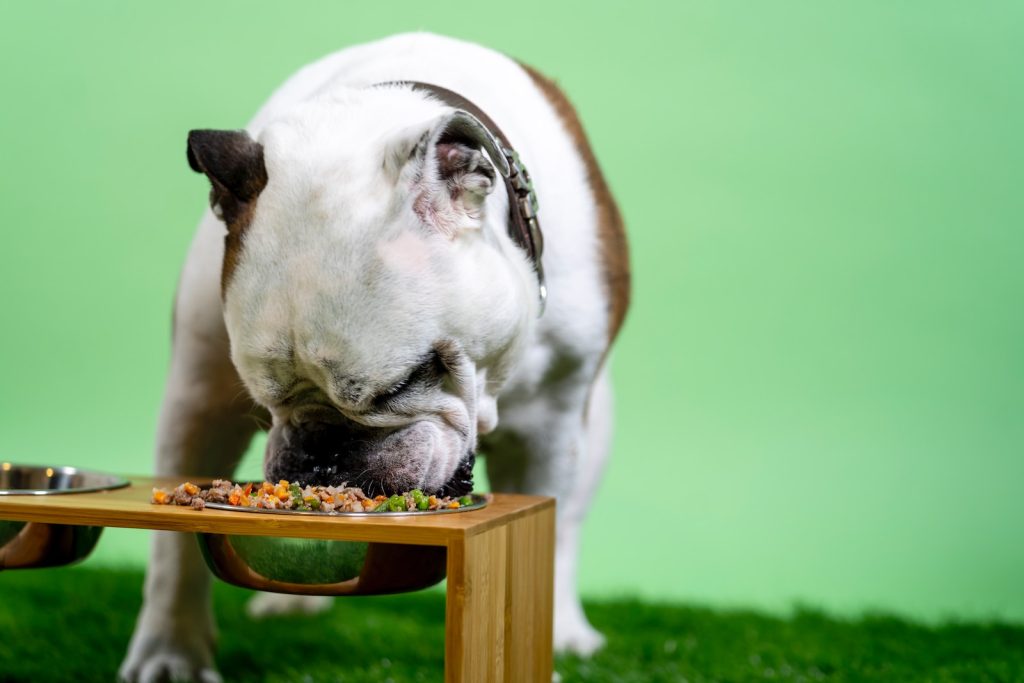 Gallery Detail: Ensuring Your Dog Is Getting Enough Fiber In Their Diet