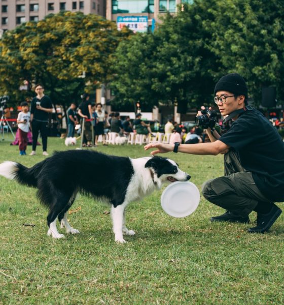 The Importance of Training Your Dog to Greet People Nicely